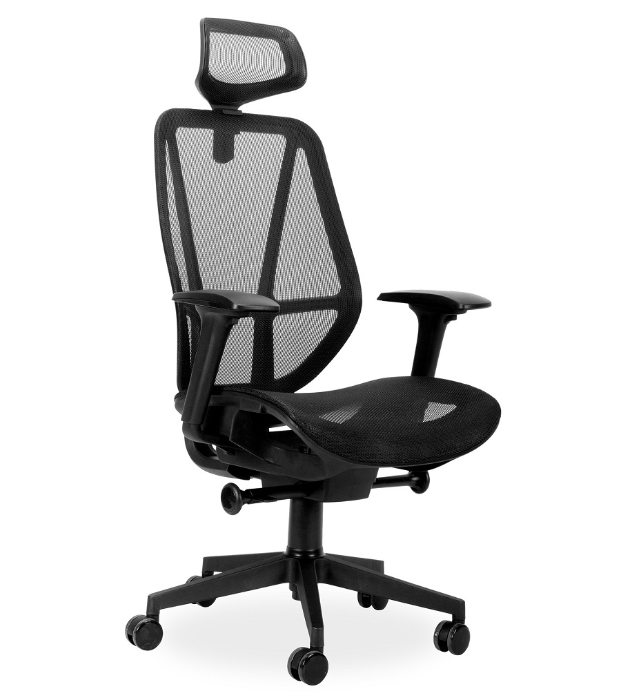 ERGONOMIC CHAIR