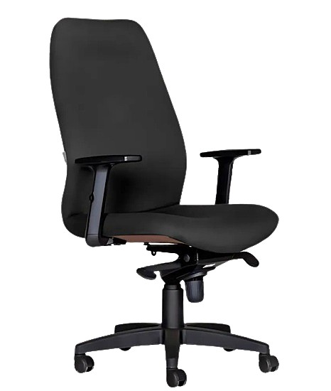 Ergonomic Office Chair