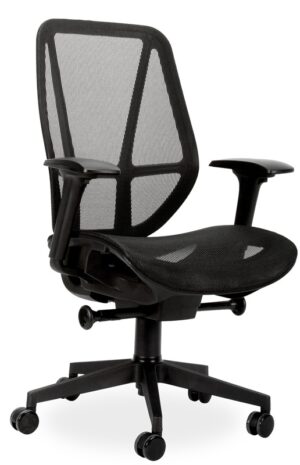 ERGONOMIC CHAIR