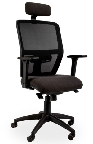 Ergonomic Chair