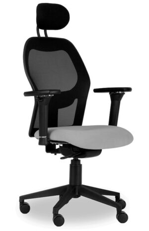 ERGONOMIC CHAIR